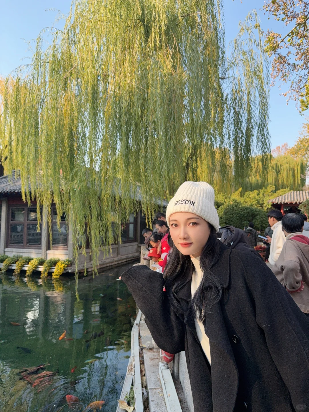 济南趵突泉｜11.22 日实况