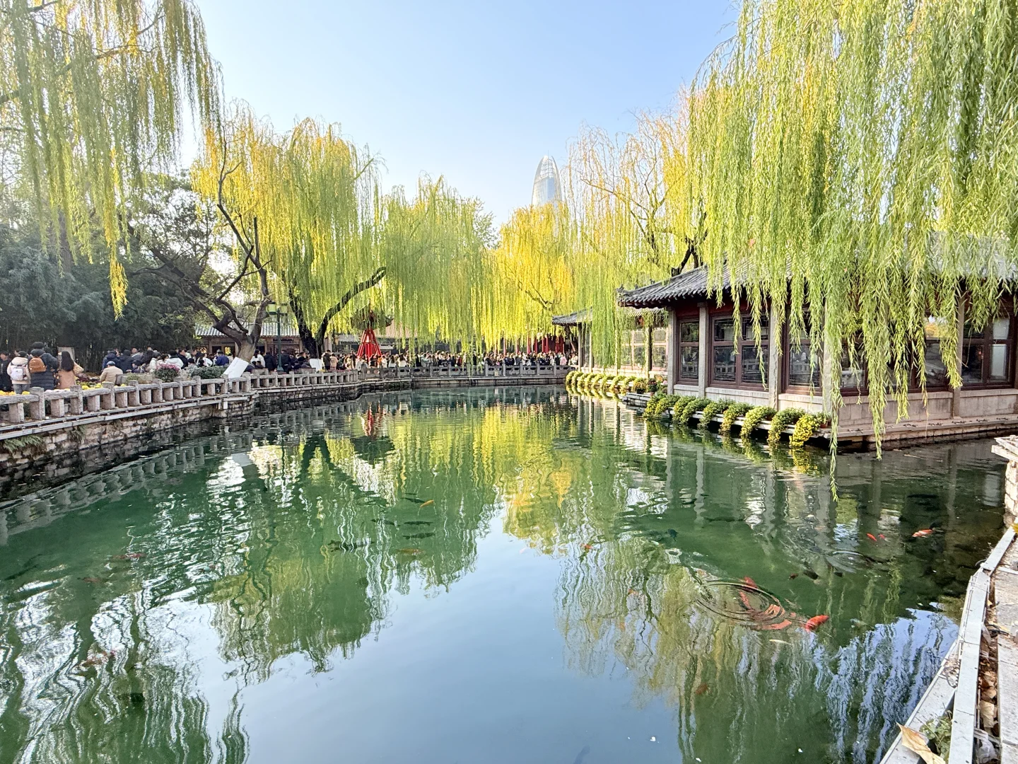 济南趵突泉｜11.22 日实况