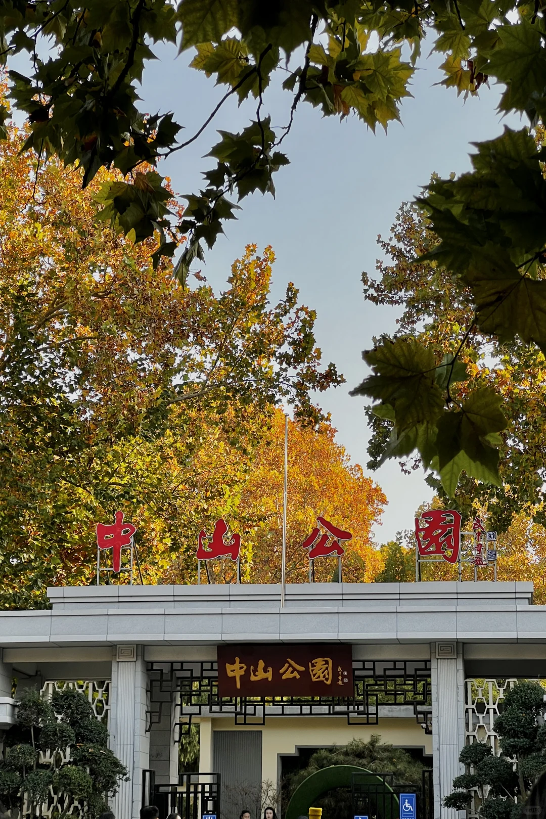 济南|在经三路看今年最后的秋（下）