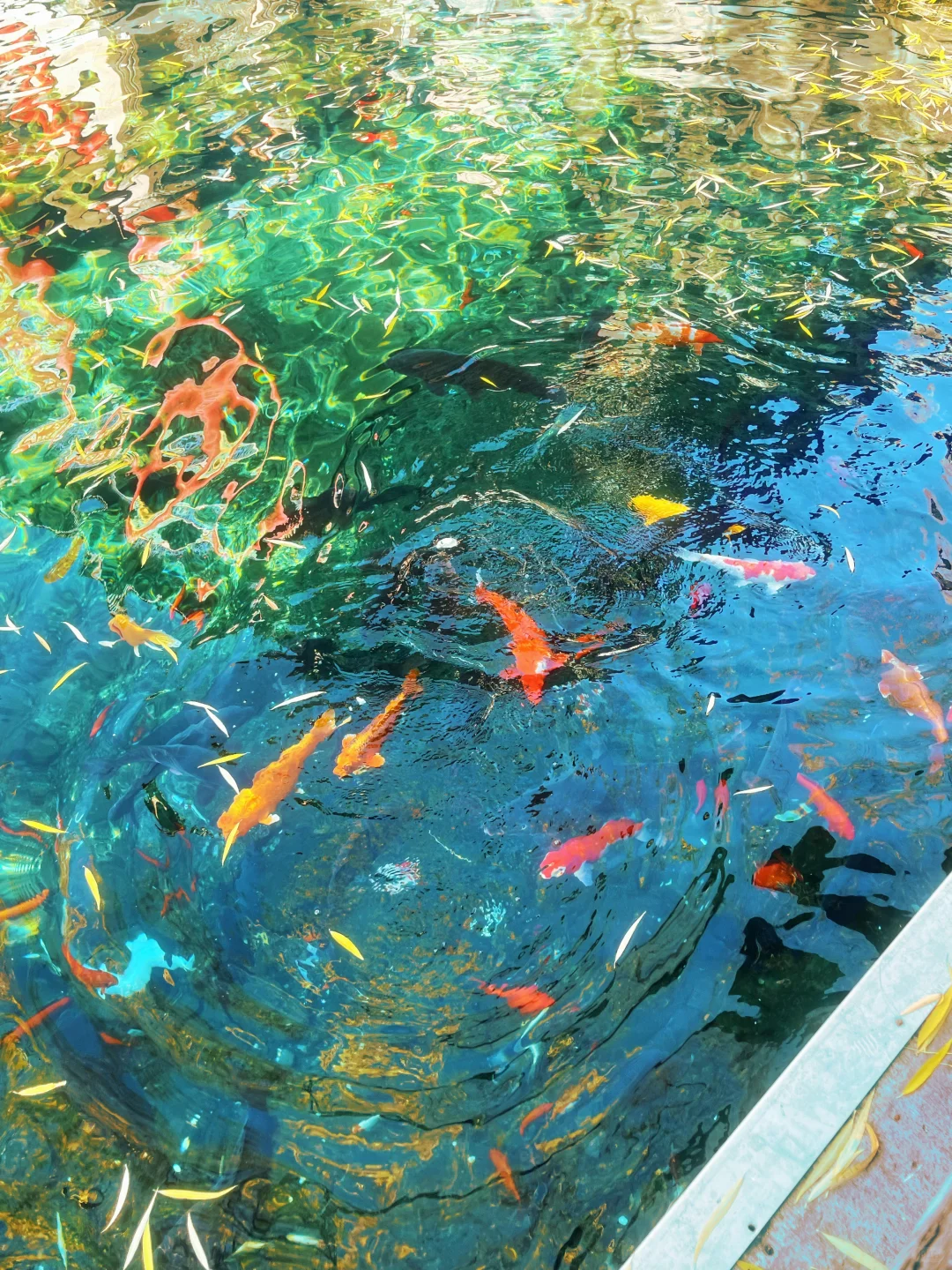 为了这七张图，我来了济南