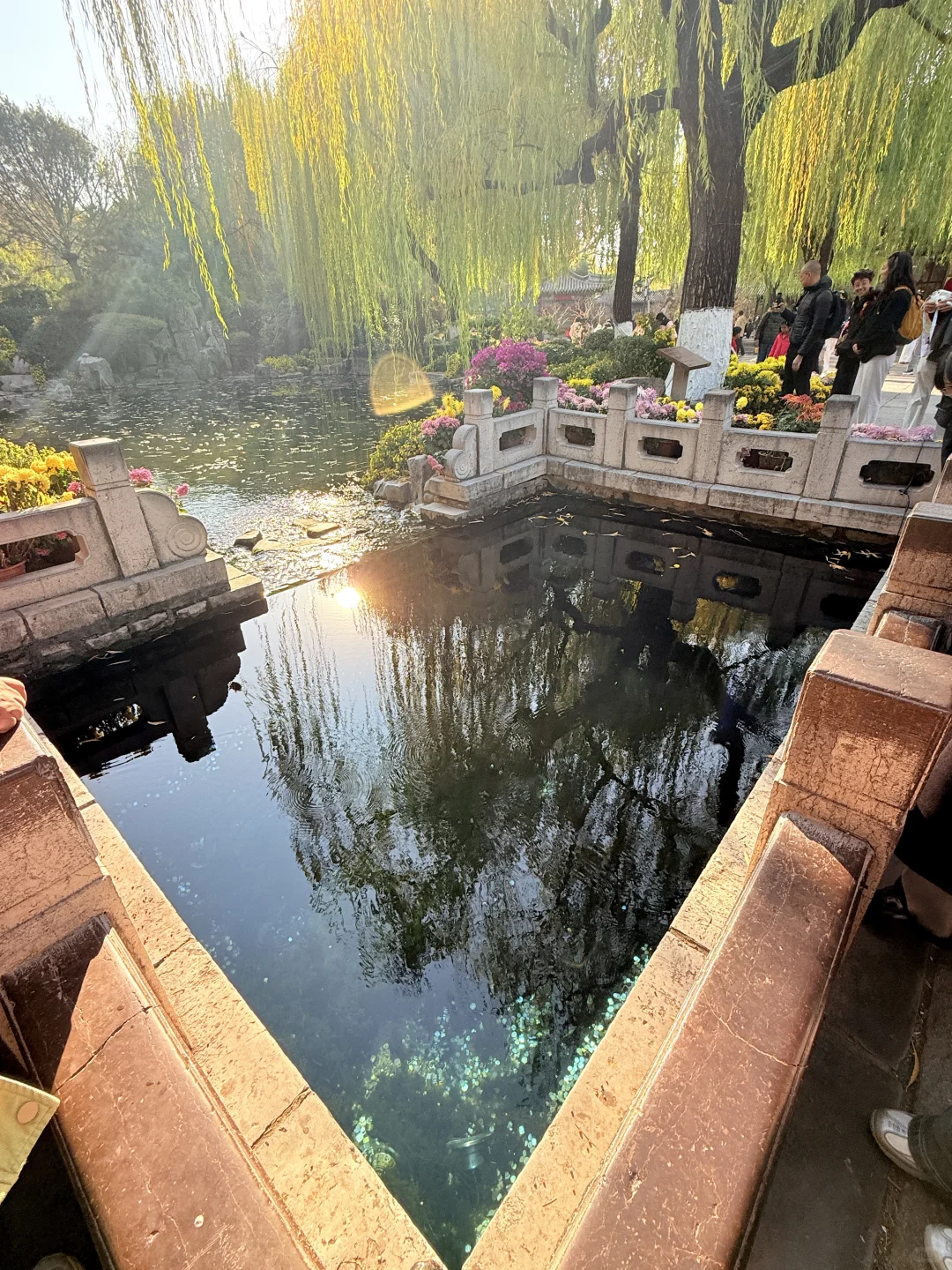 济南趵突泉｜11.22 日实况