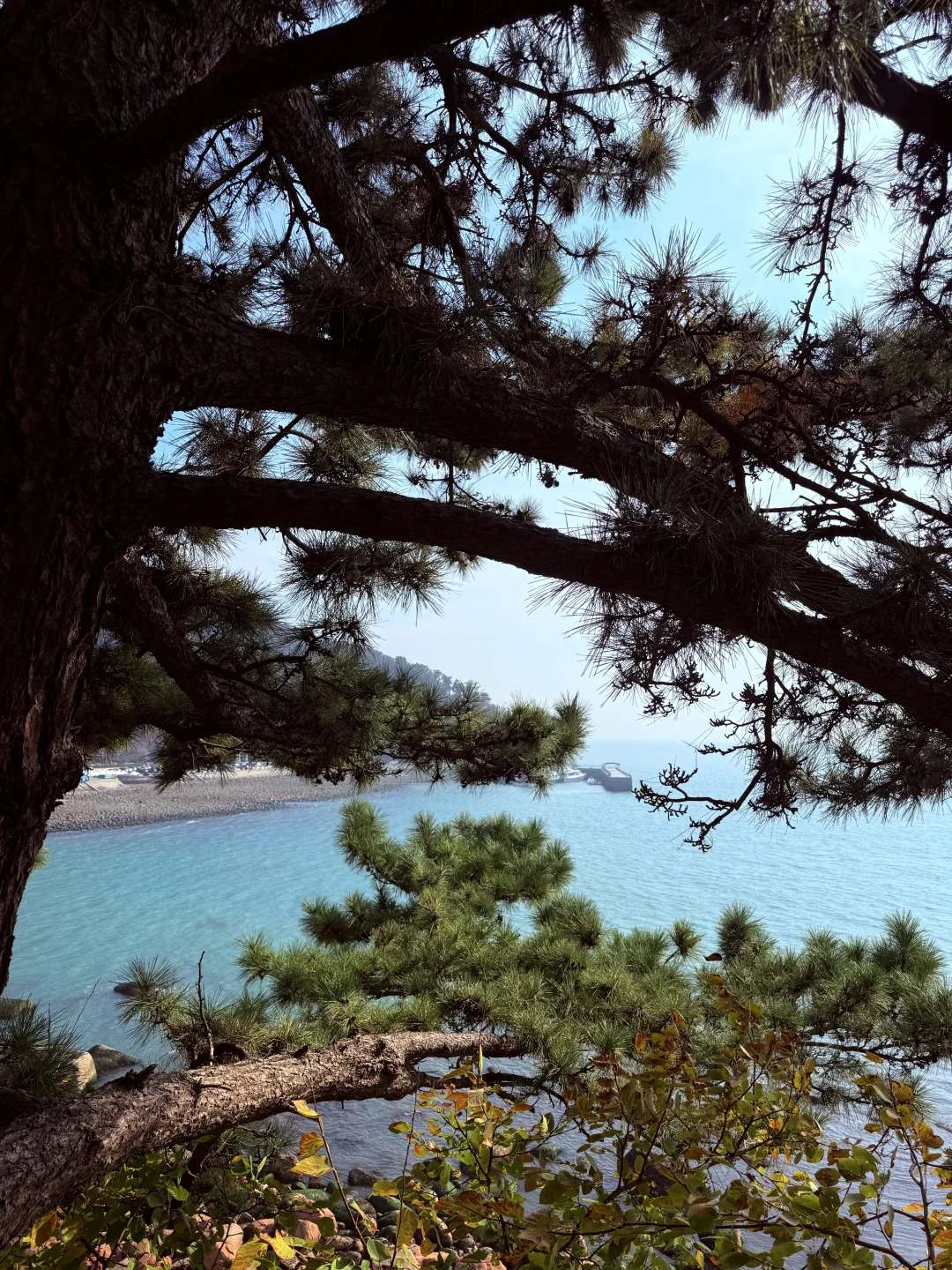 21 岁的某一天 我一个人来到了青岛