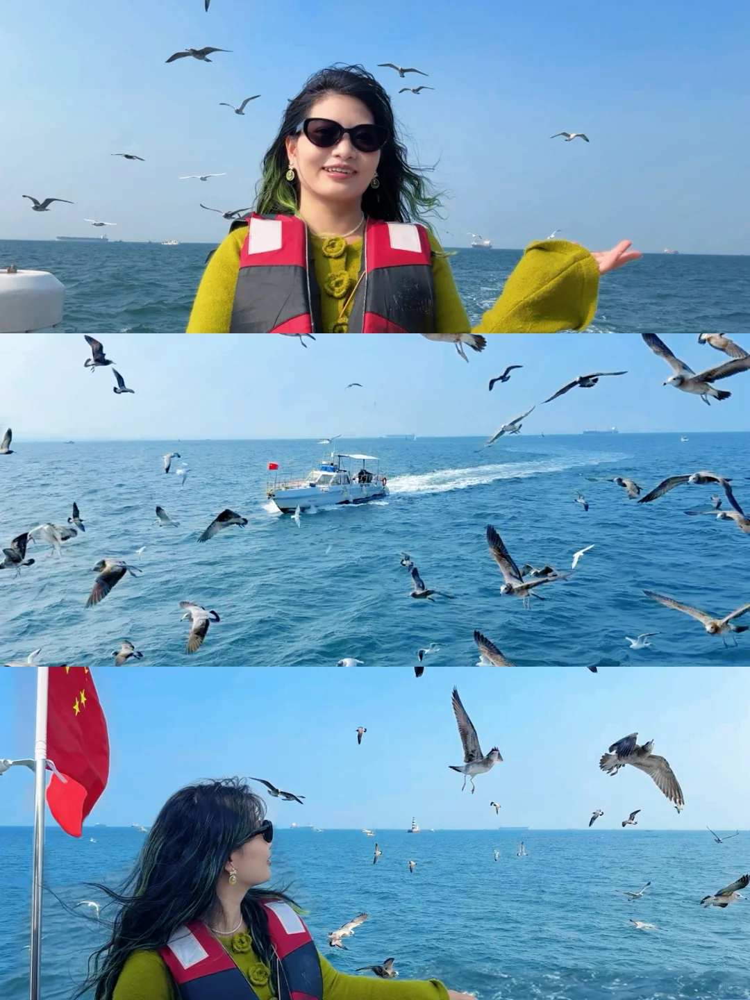 昨日实况🌊青岛轮渡失联的1h🕊️和海鸥相伴