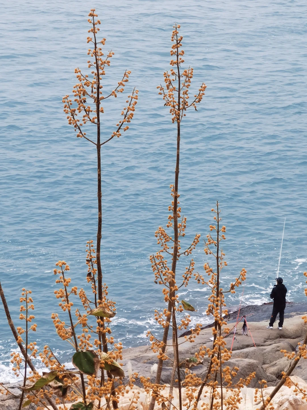 再见了，青岛。我独自一人solotrip的记录