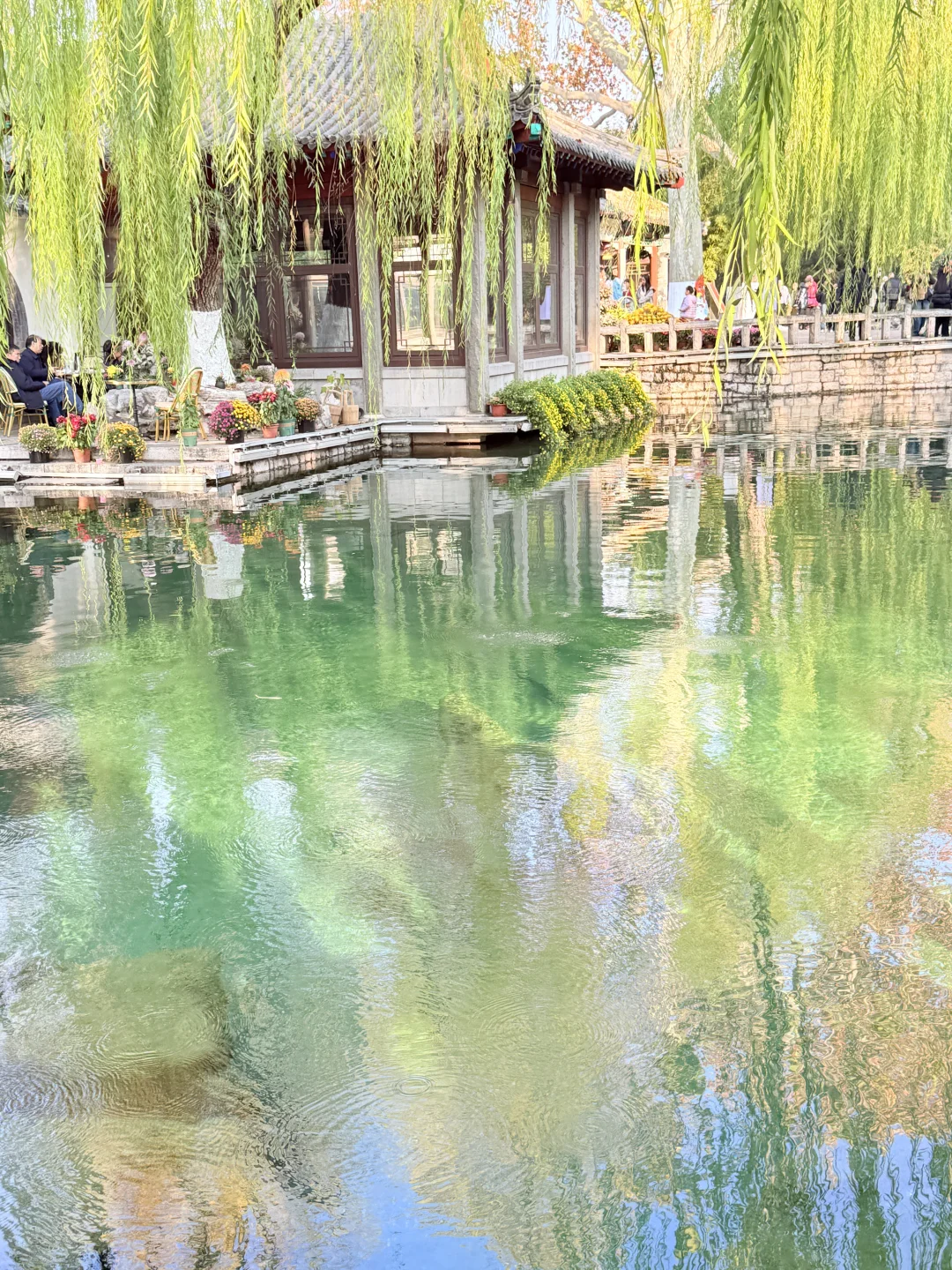 济南趵突泉｜11.22 日实况