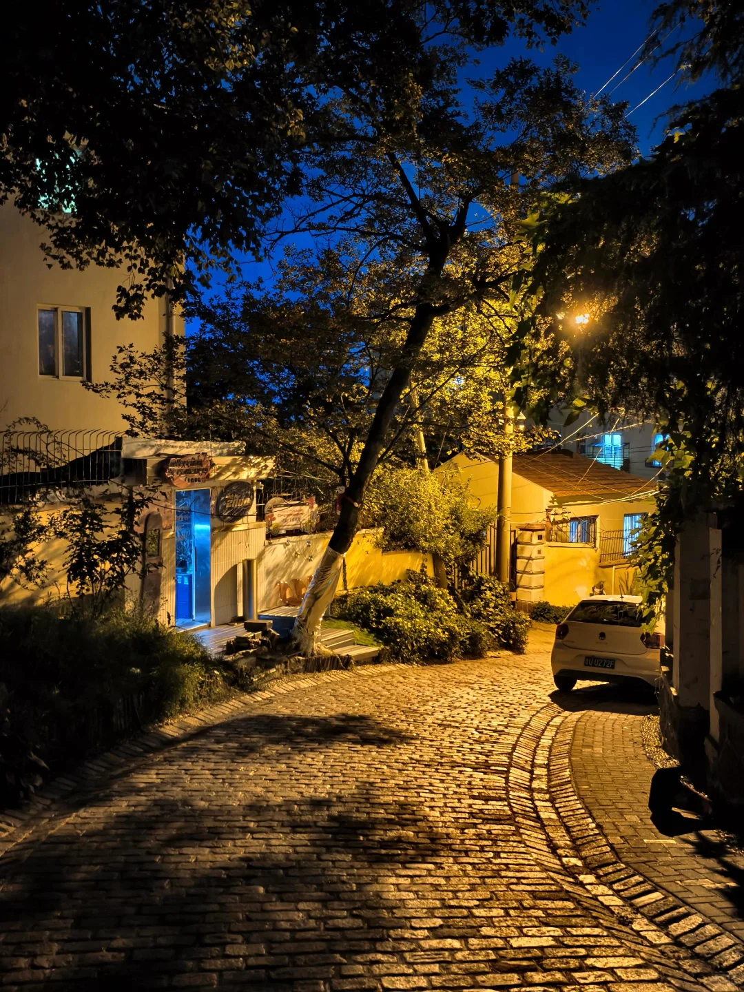 11月青岛免押租车价格💰人均50租车攻略！！！