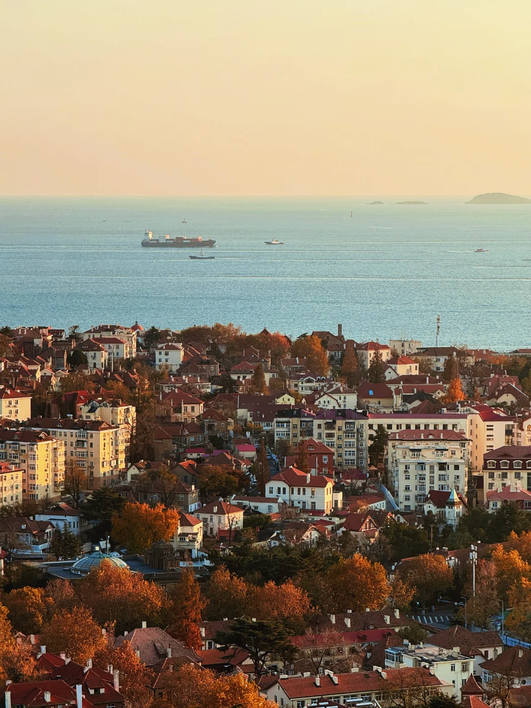 11.21实况｜青岛老城区秋日全景+日落，绝了！