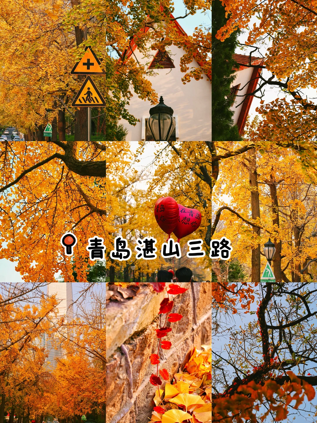 秋日落幕🍂｜我永远爱青岛的秋天👀