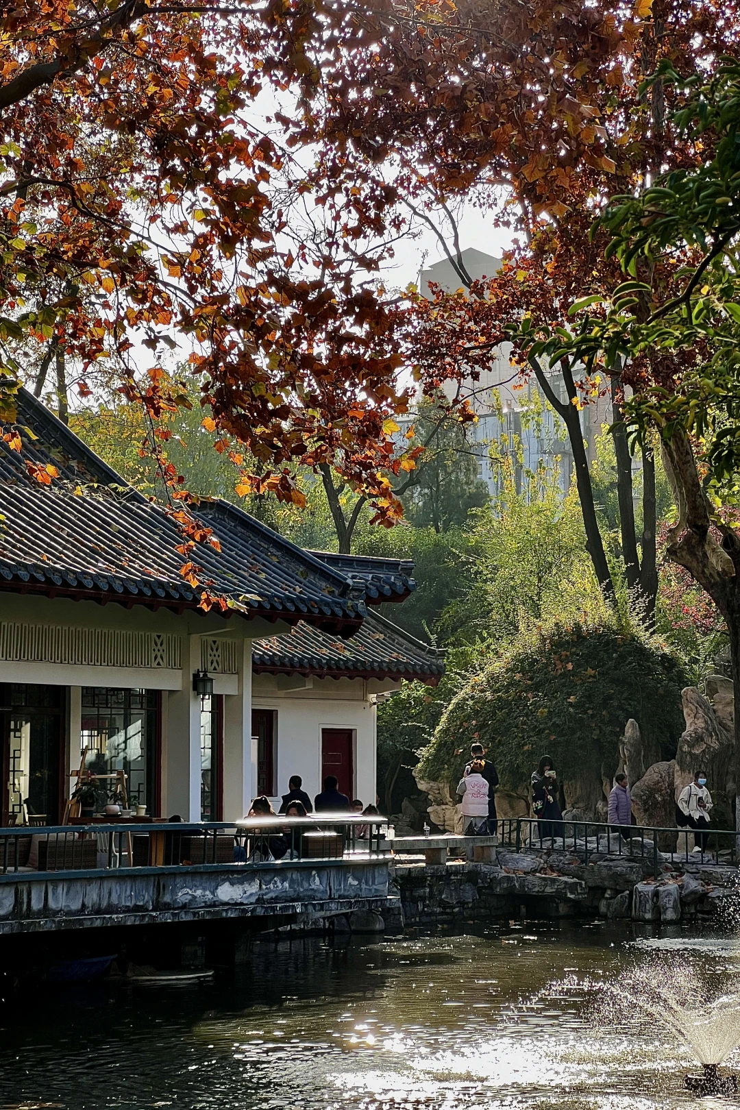 济南|在经三路看今年最后的秋（下）