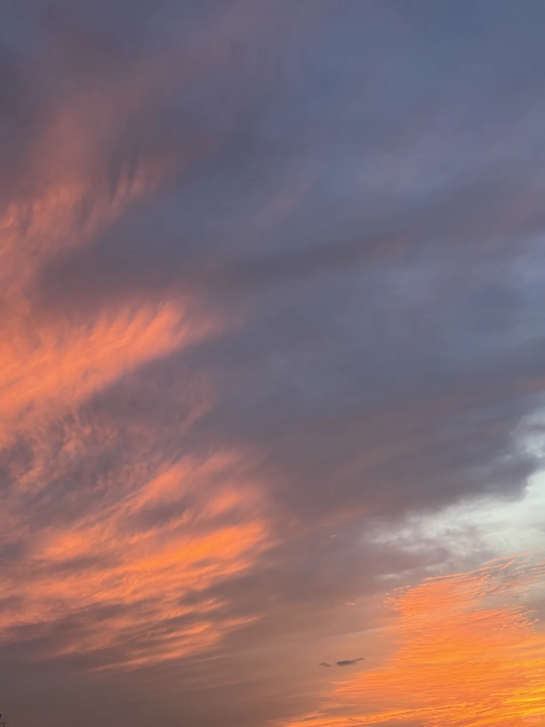 我他妈的一个人去看海了