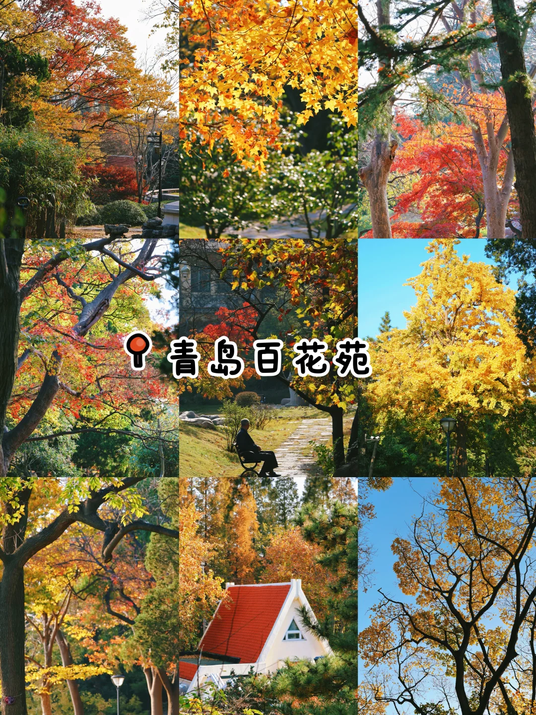 秋日落幕🍂｜我永远爱青岛的秋天👀