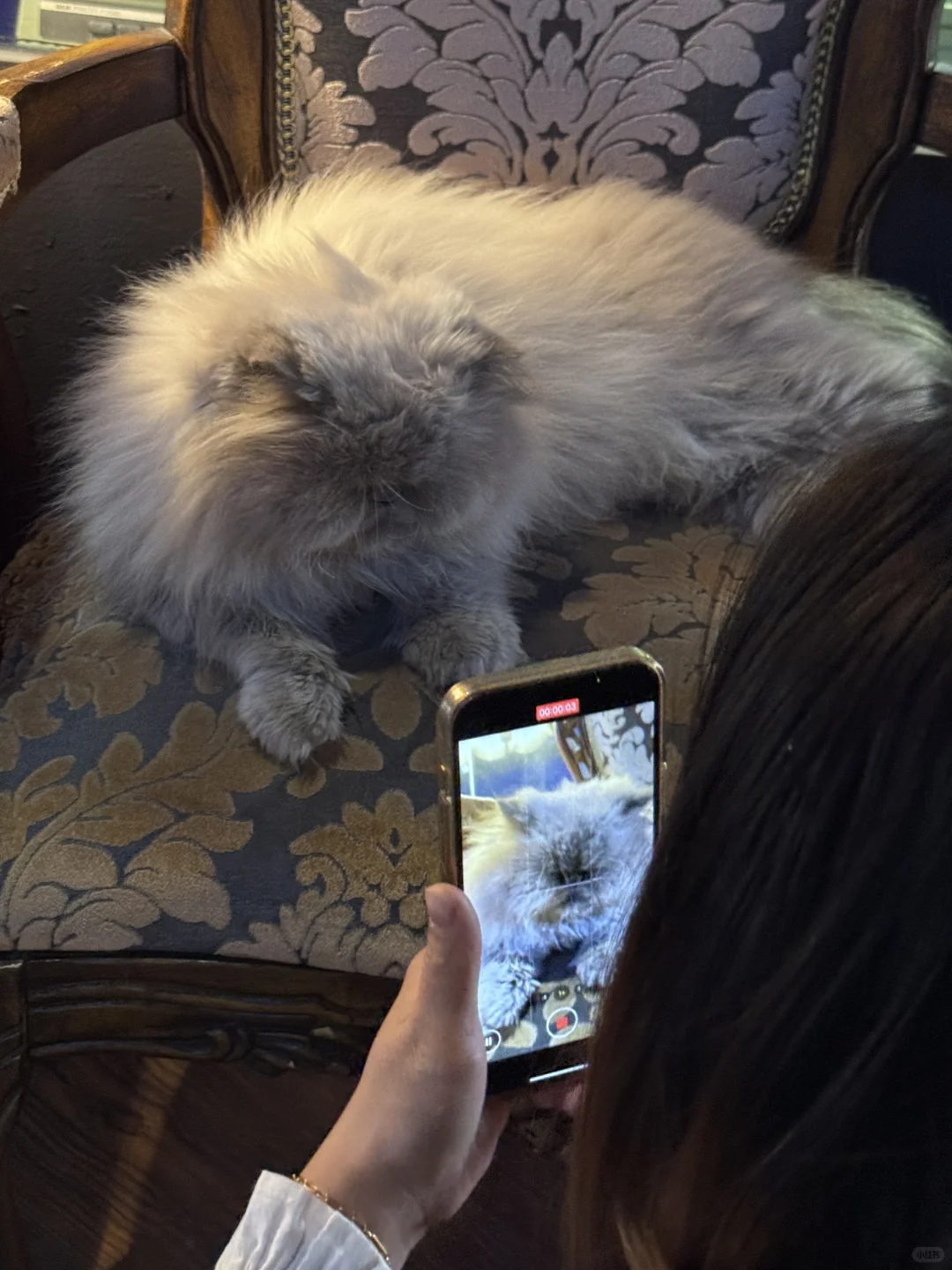 11.21实况｜青岛老城区秋日全景+日落，绝了！