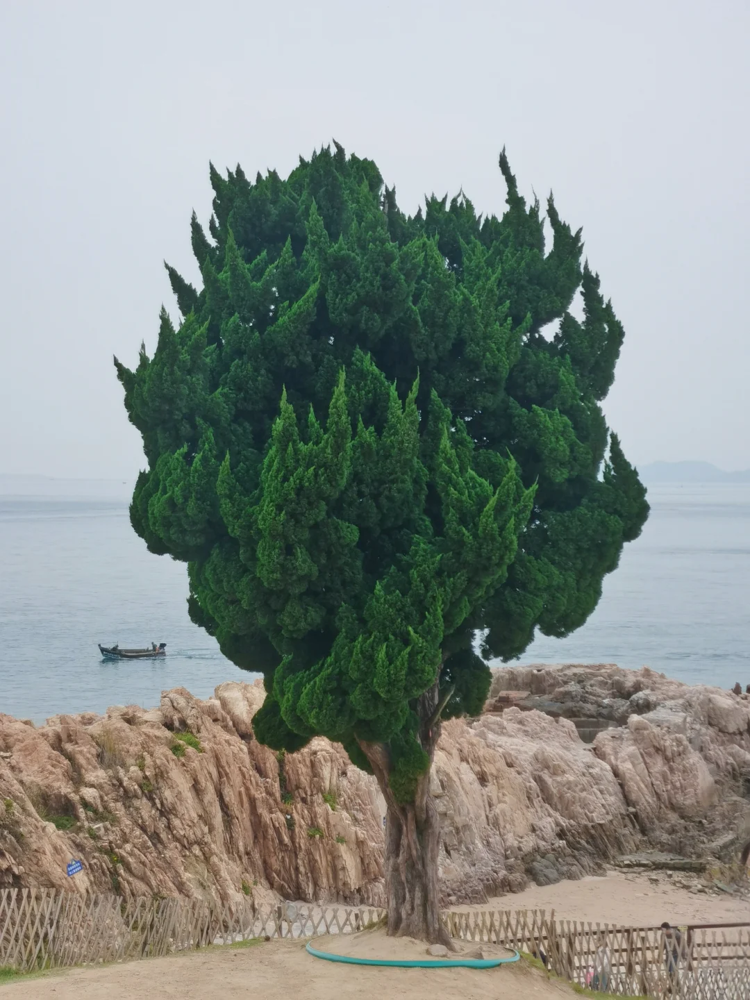 再见了，青岛。我独自一人solotrip的记录