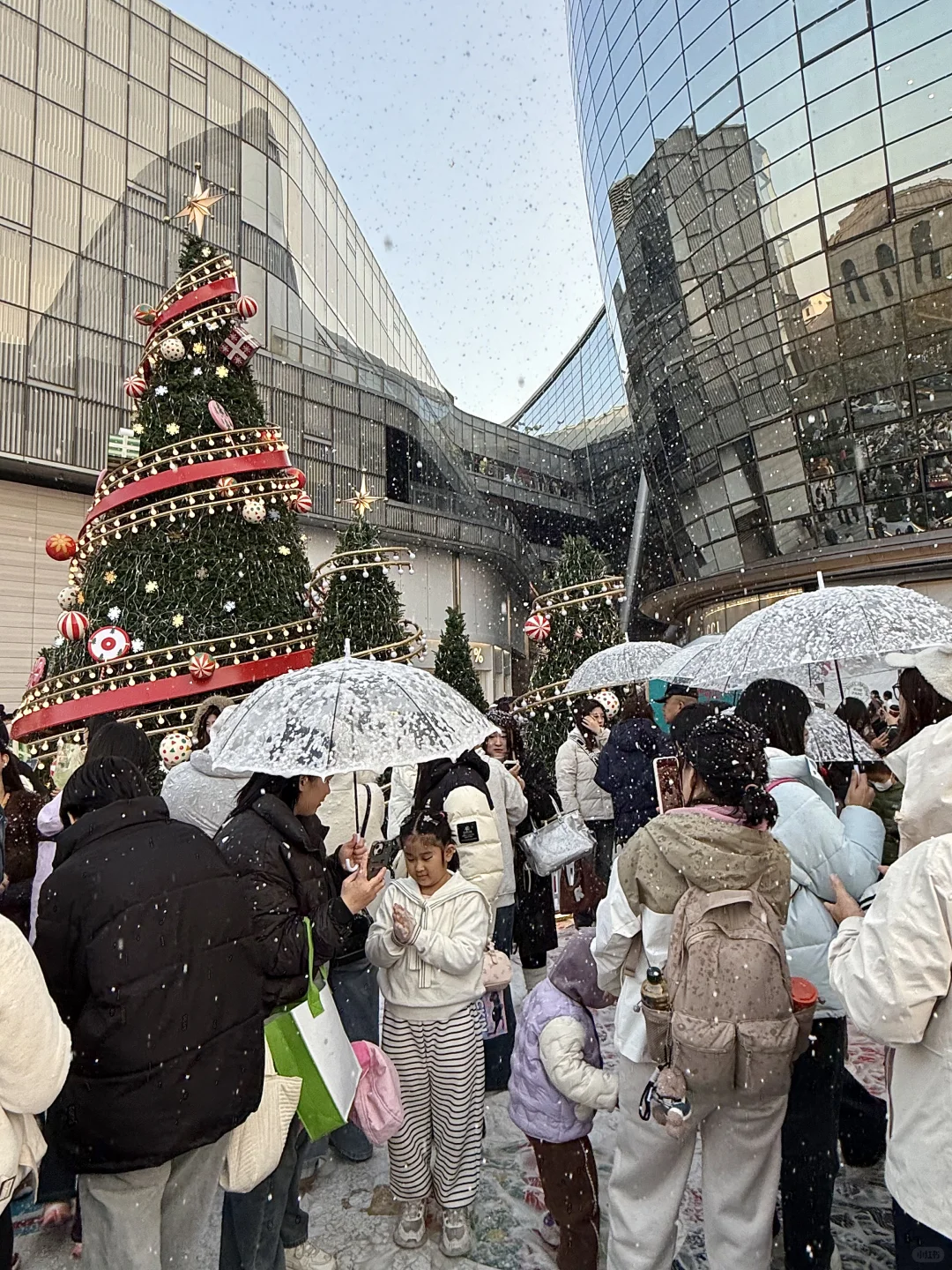 济南11.22初雪实况！！感觉现场有一亿人。。