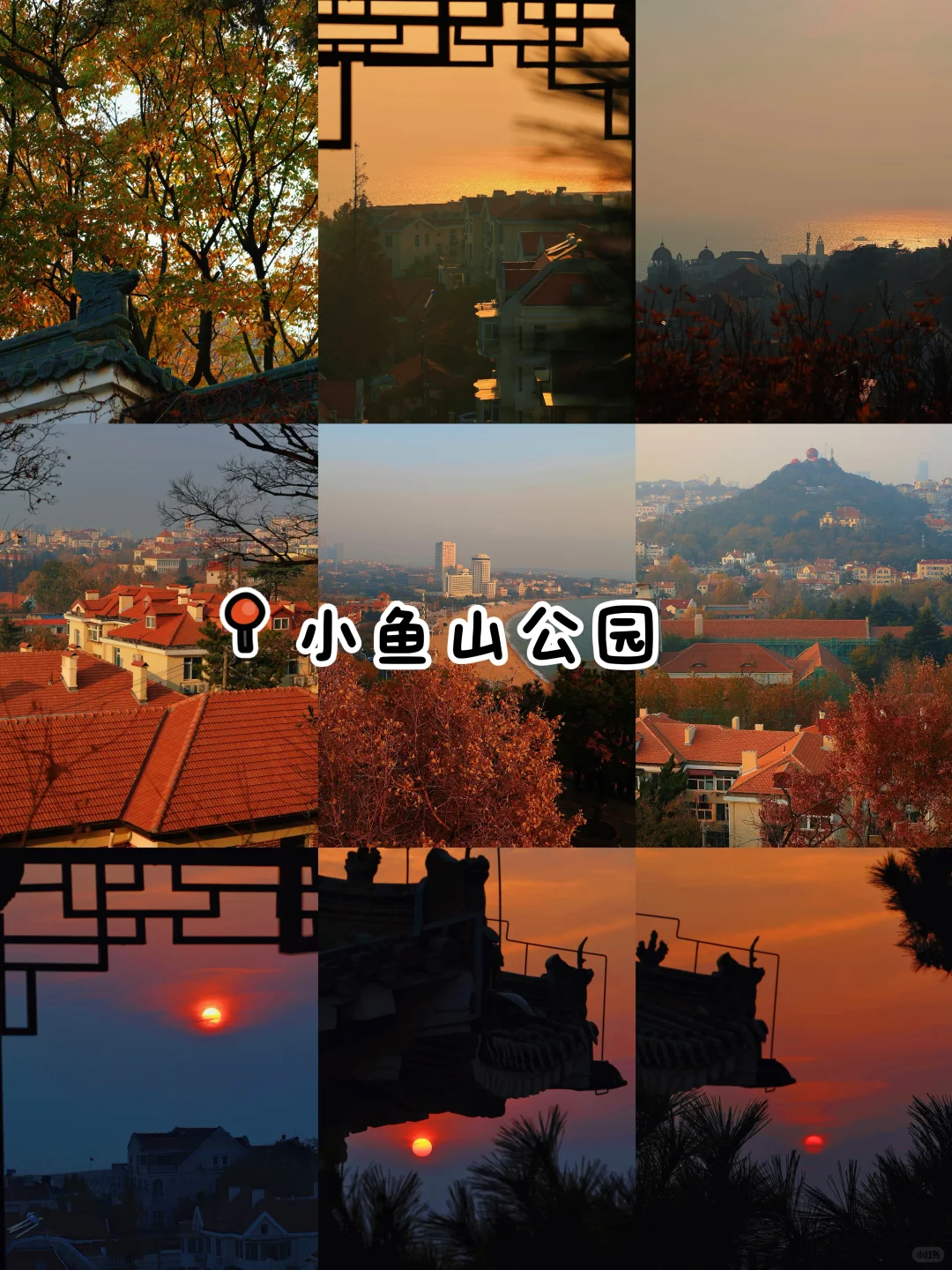 秋日落幕🍂｜我永远爱青岛的秋天👀