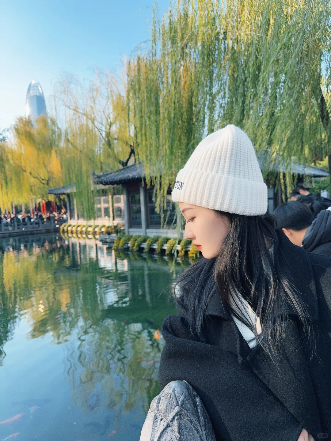 济南趵突泉｜11.22 日实况