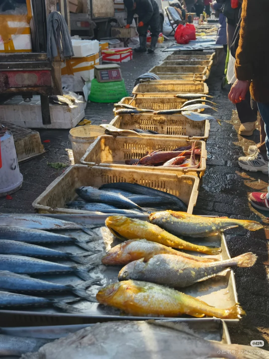 青岛菜场暗语大全 | 学会这招不被坑