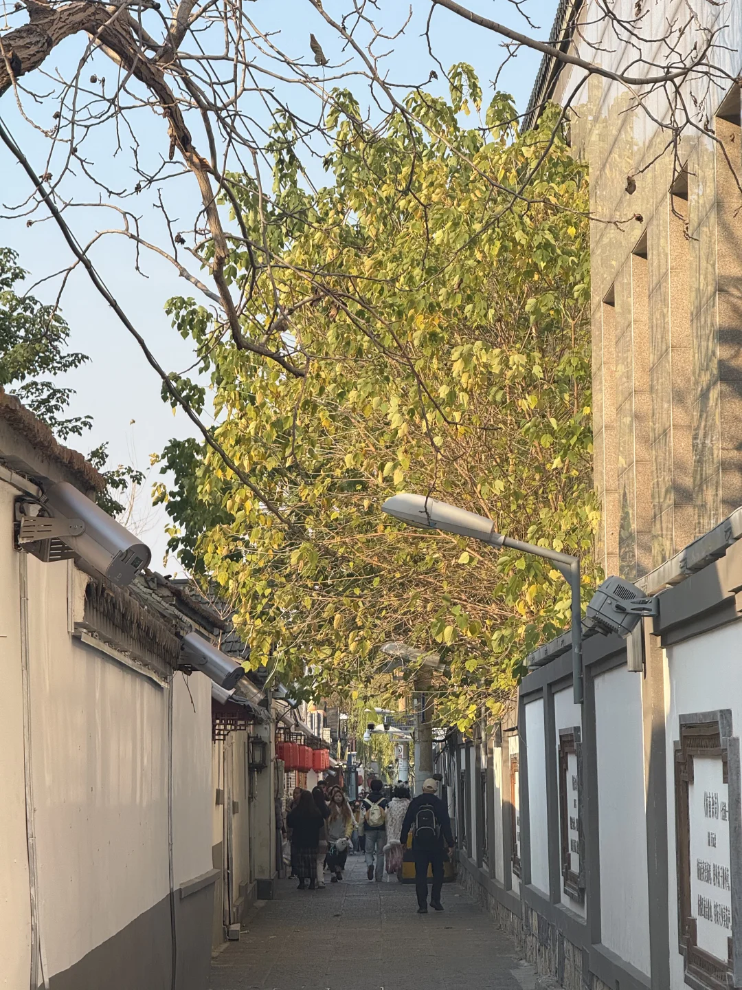 周末出逃计划｜📍济南，两天一夜女生独旅