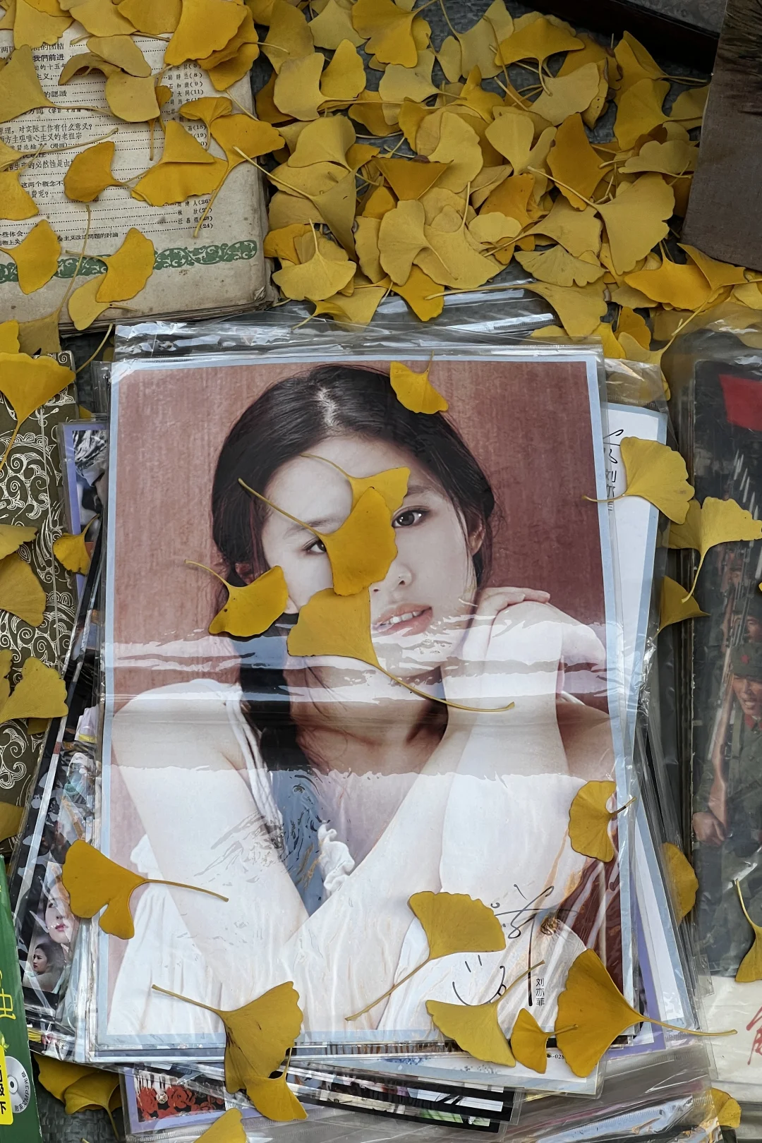 济南|在经三路看今年最后的秋（下）