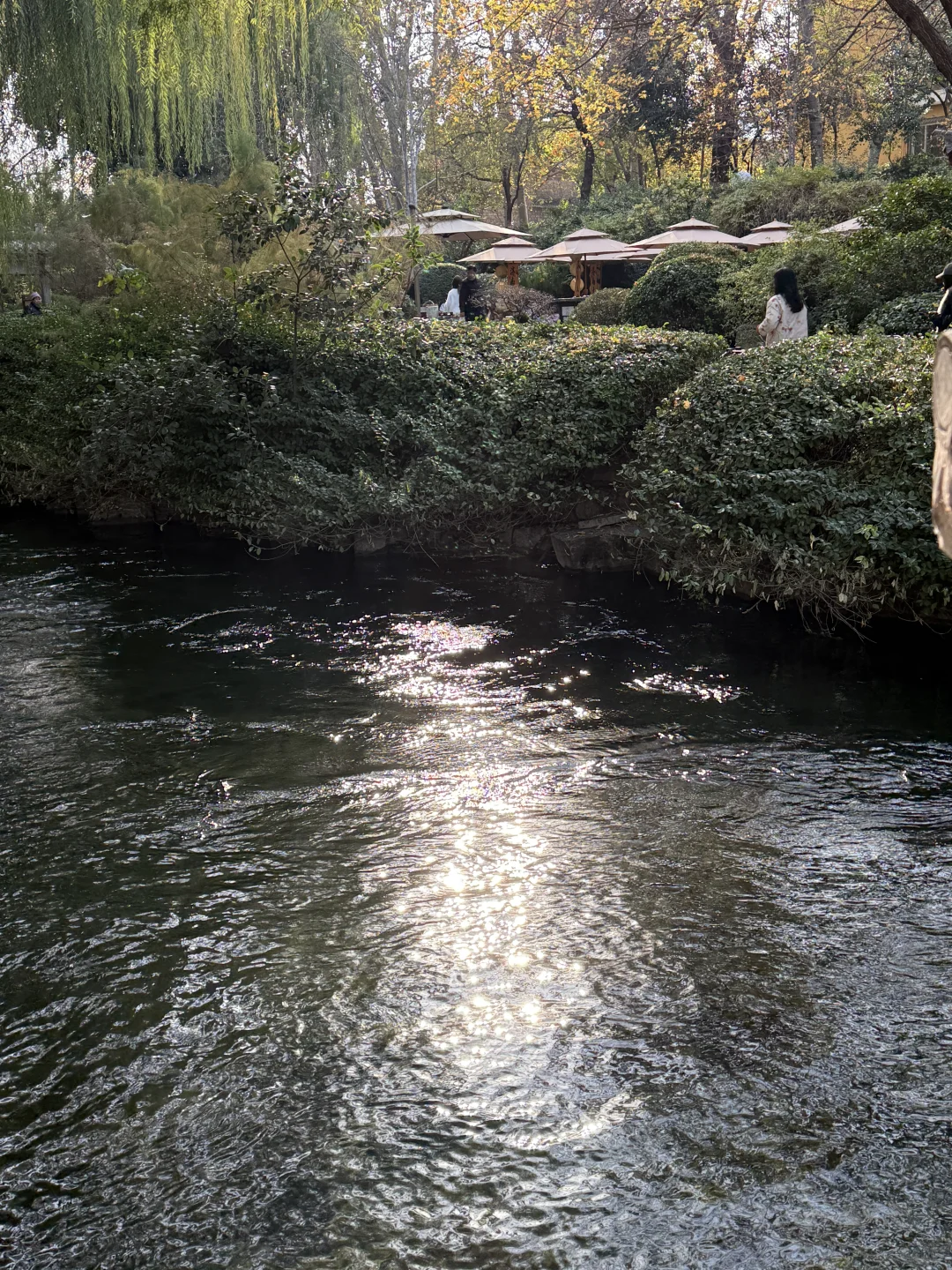 济南·趵突泉·北方小江南🛶