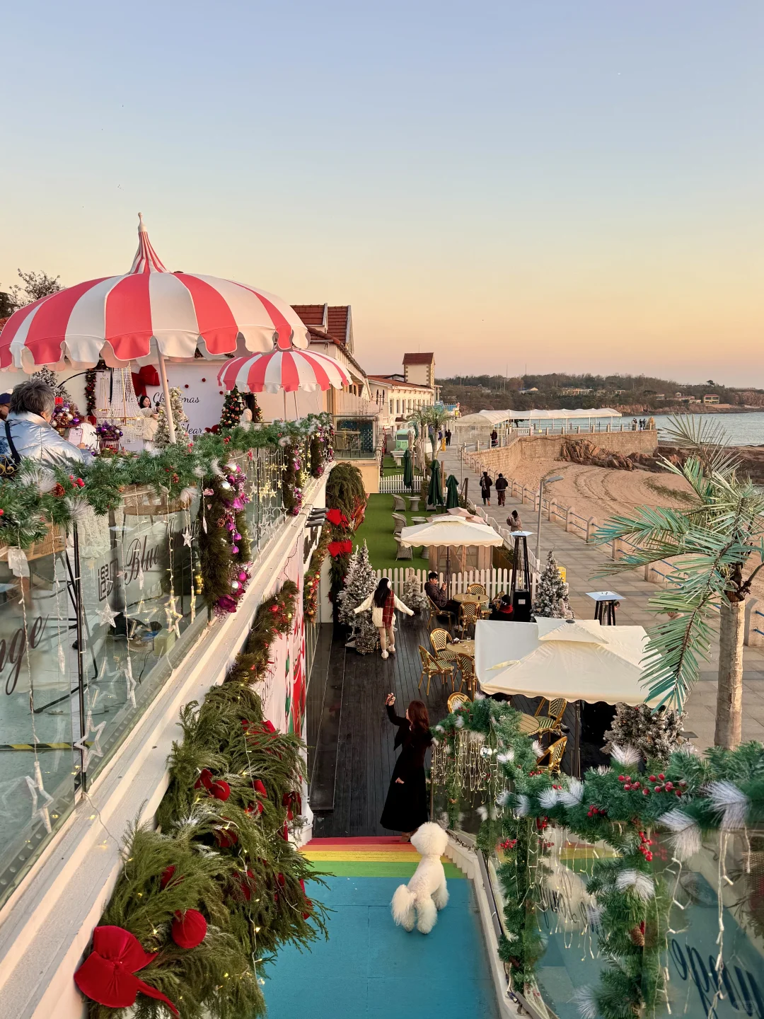 唯一的缺点：青岛海边圣诞限定