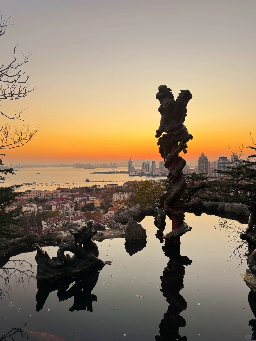 11.21实况｜青岛老城区秋日全景+日落，绝了！