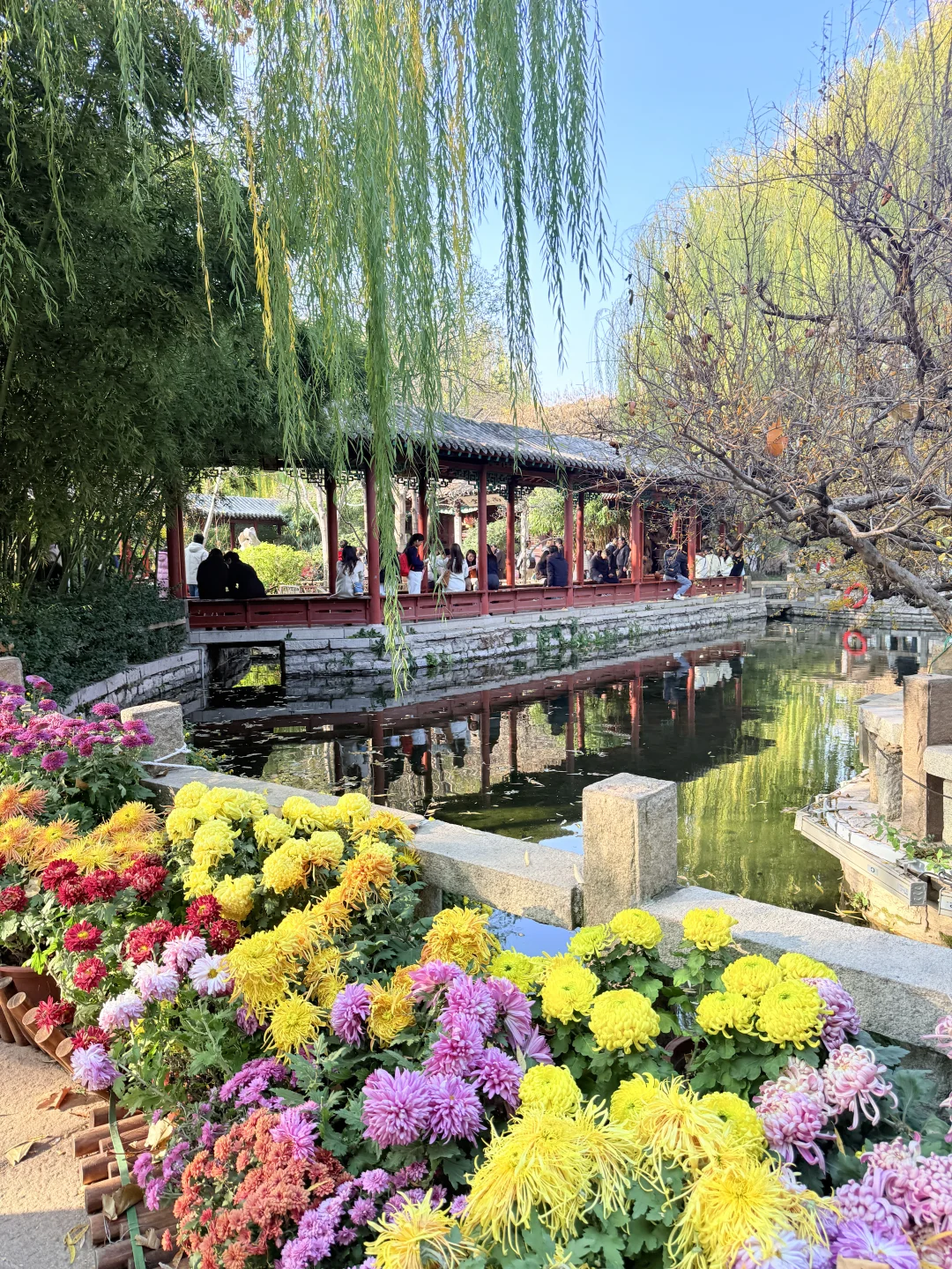 济南趵突泉｜11.22 日实况