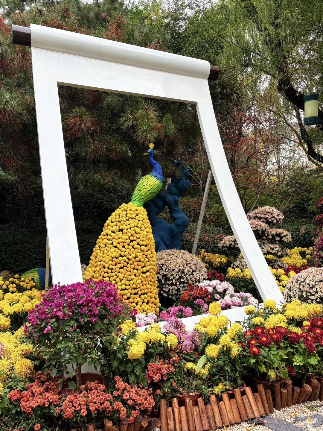 11.23 趵突泉有一亿人！