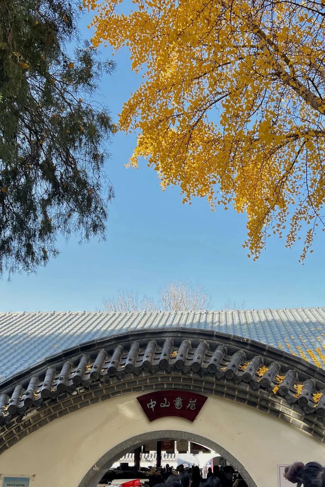 济南|在经三路看今年最后的秋（下）