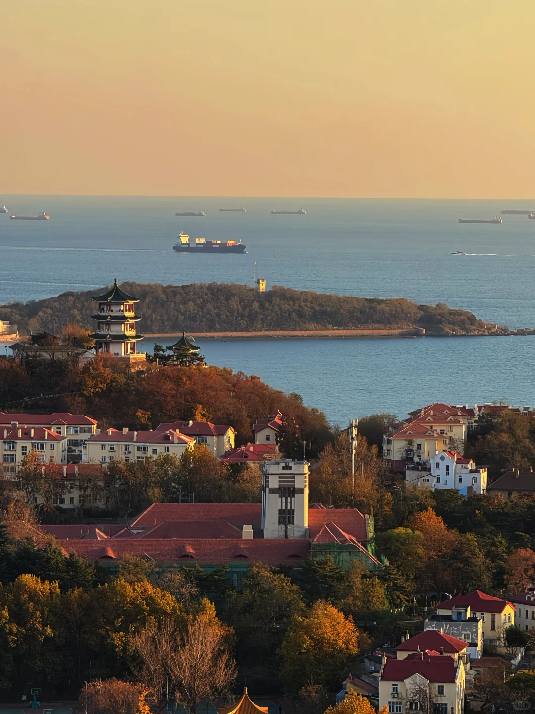 11.21实况｜青岛老城区秋日全景+日落，绝了！