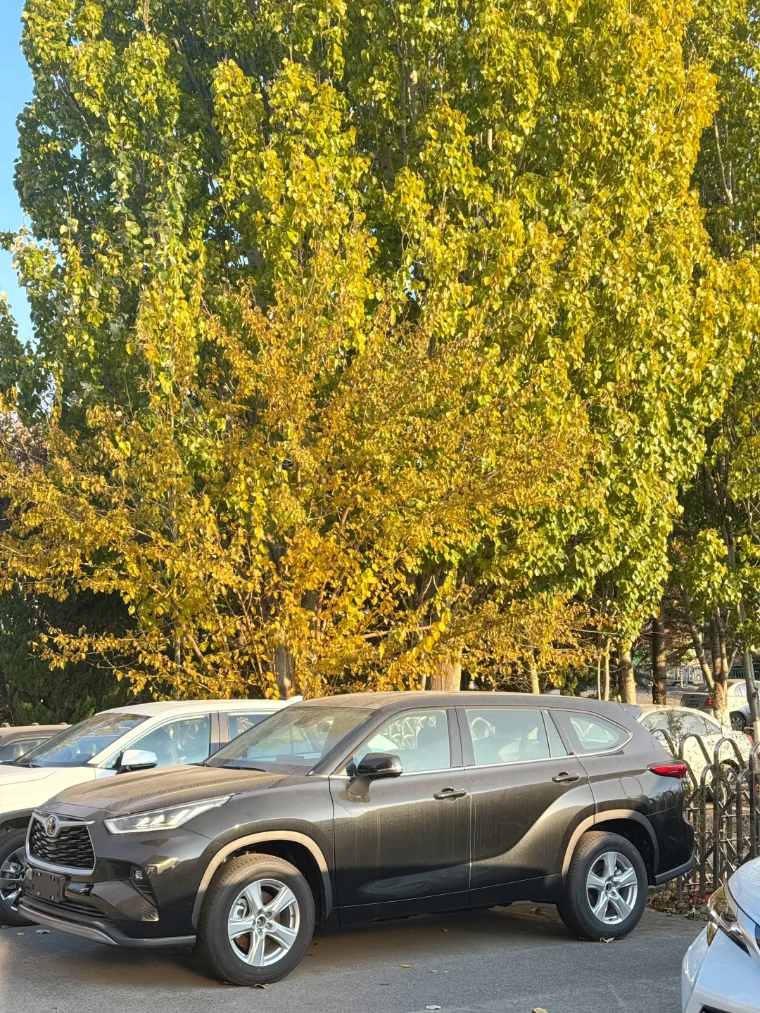 青岛月末特惠！26款汉兰达SUV找我✂️5W➕