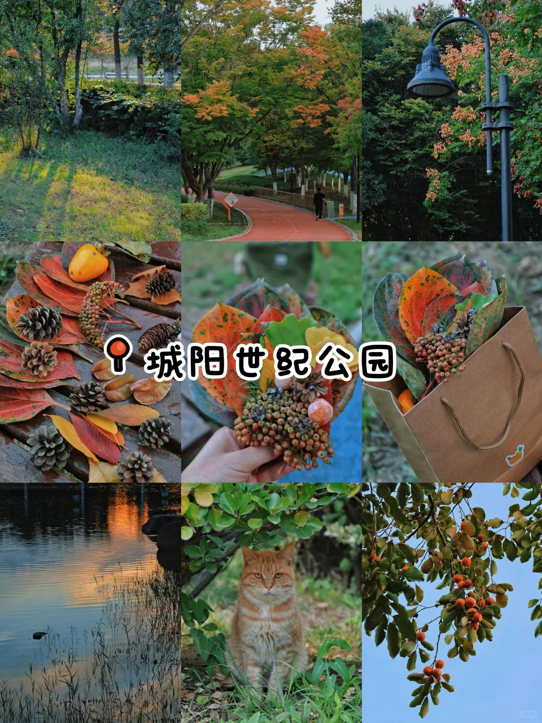 秋日落幕🍂｜我永远爱青岛的秋天👀