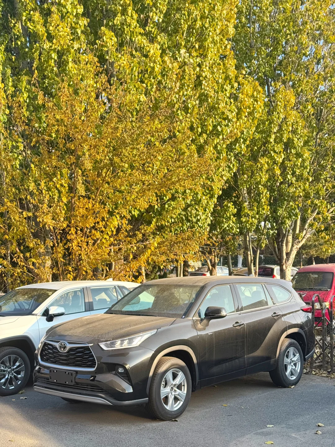 青岛月末特惠！26款汉兰达SUV找我✂️5W➕