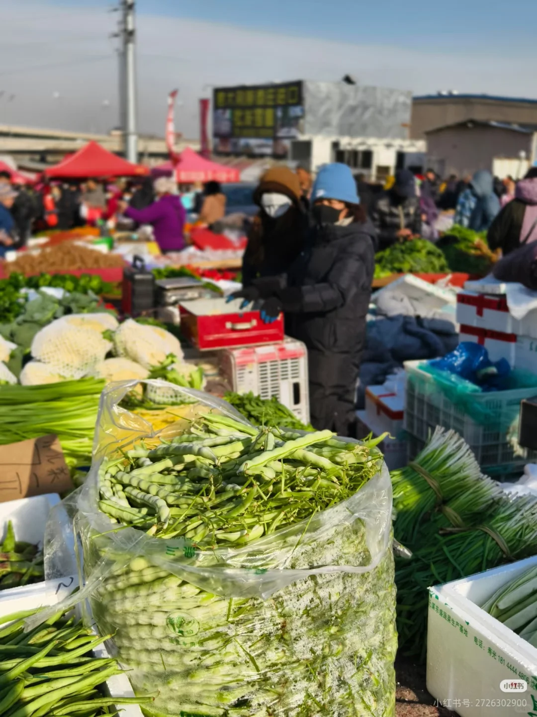 青岛菜场暗语大全 | 学会这招不被坑