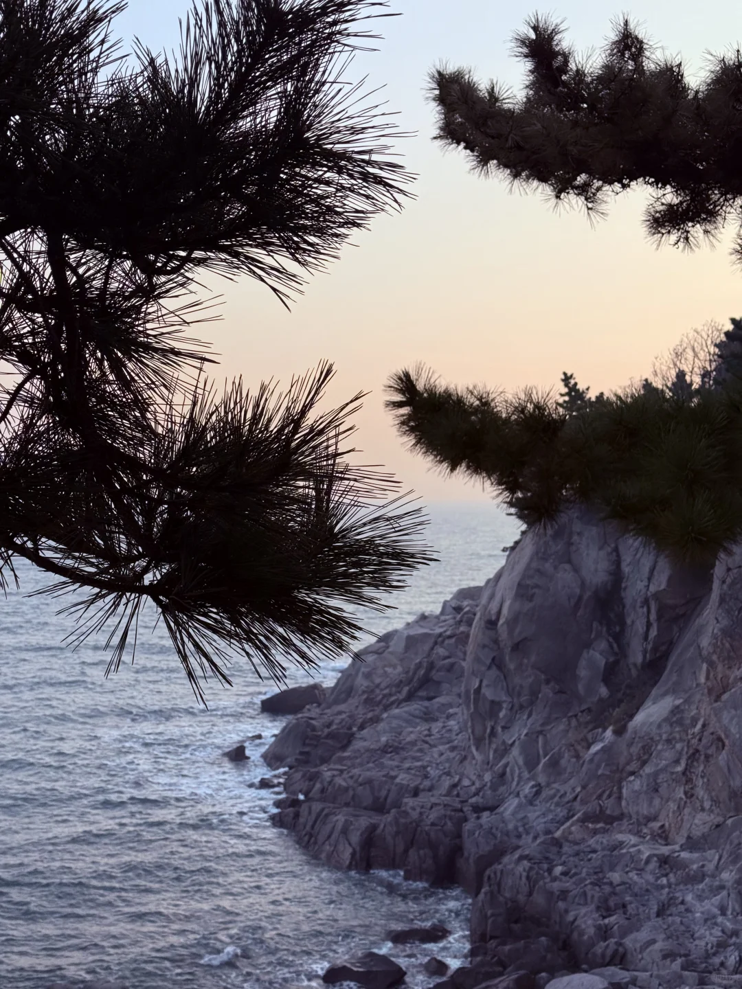 21 岁的某一天 我一个人来到了青岛