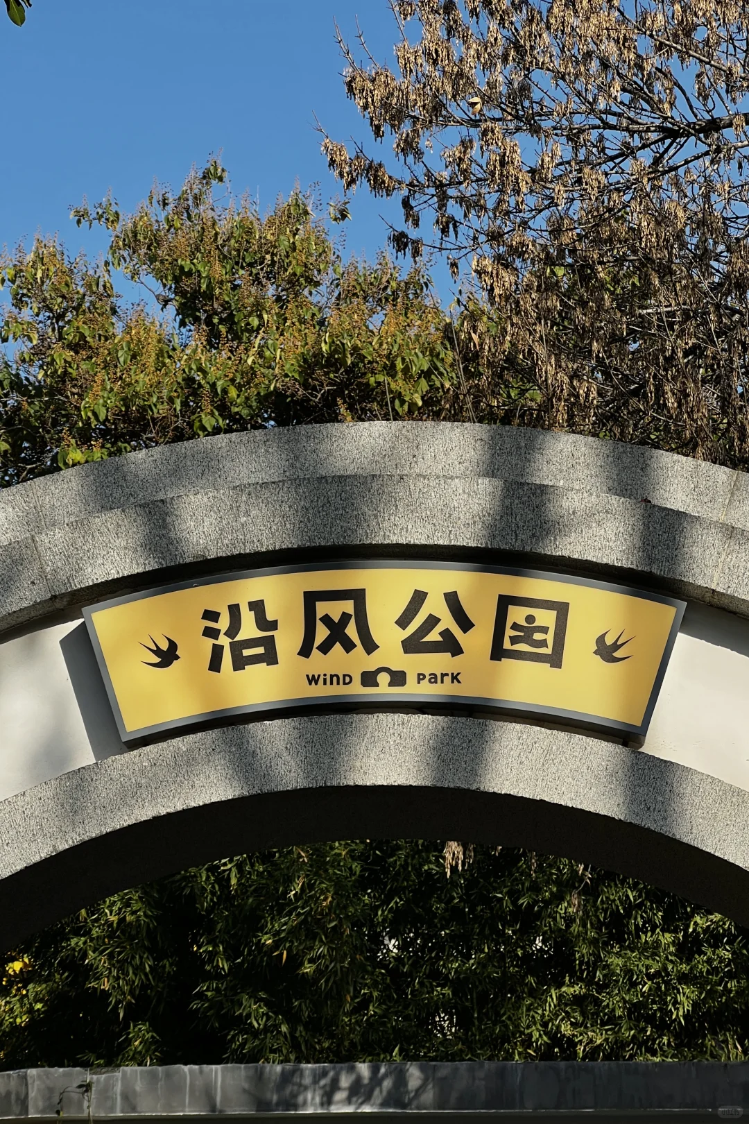 济南|在经三路看今年最后的秋（下）