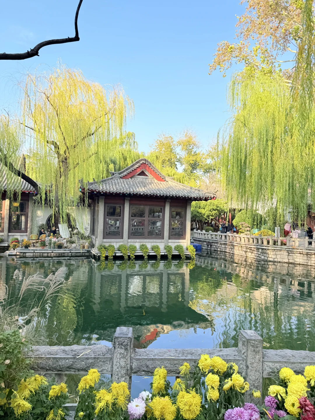 济南趵突泉｜11.22 日实况