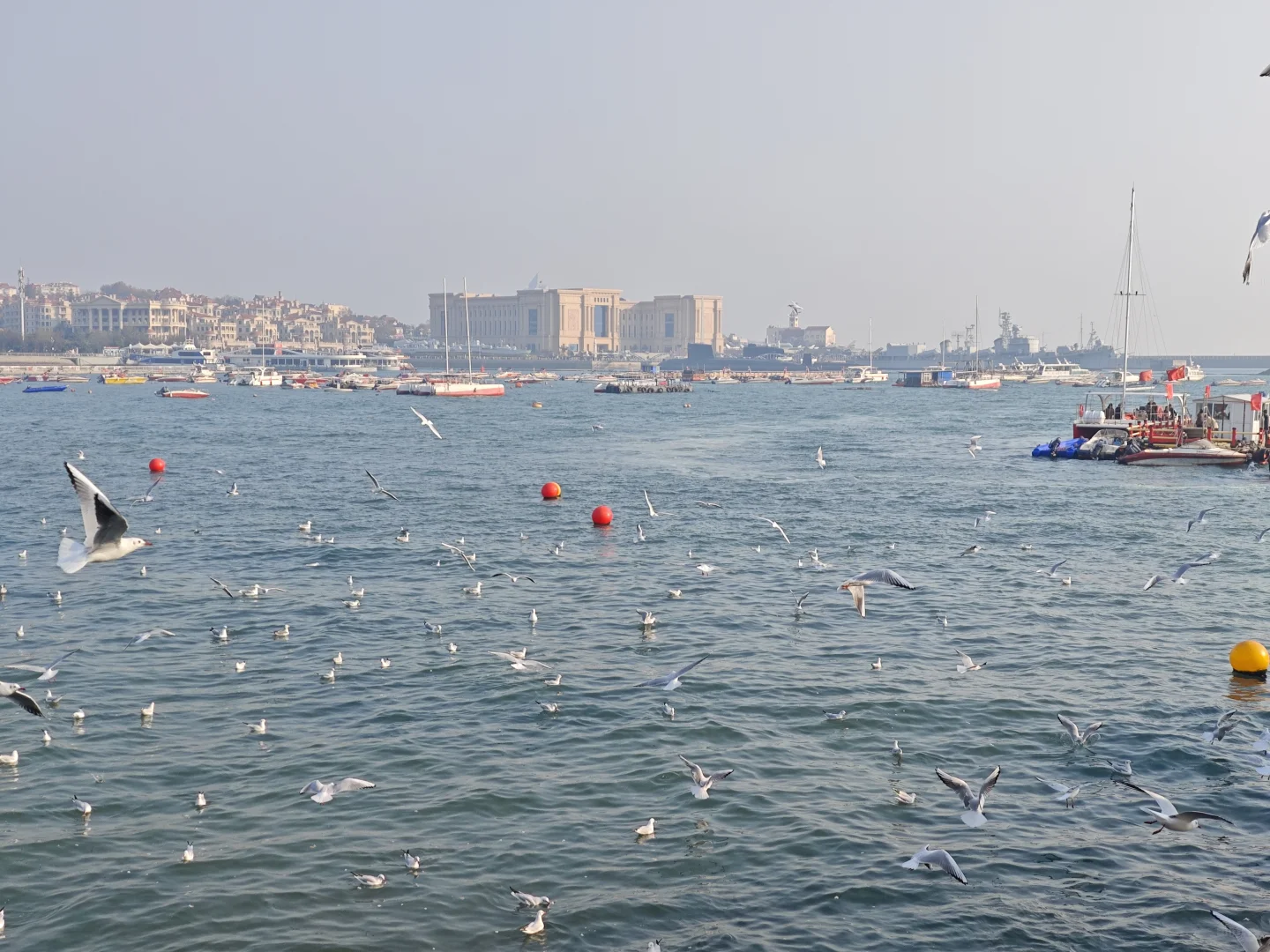 青岛的三天两晚，日均两万步