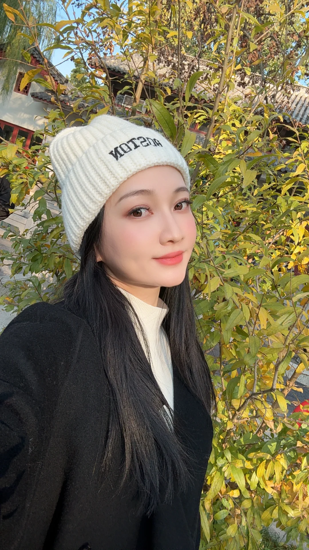 济南趵突泉｜11.22 日实况