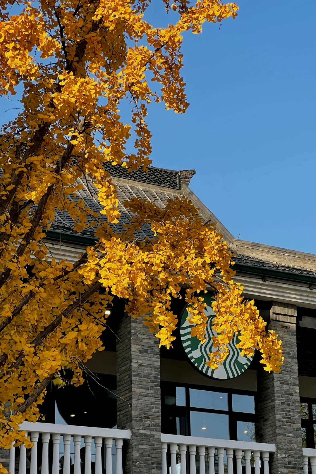 济南|在经三路看今年最后的秋（下）
