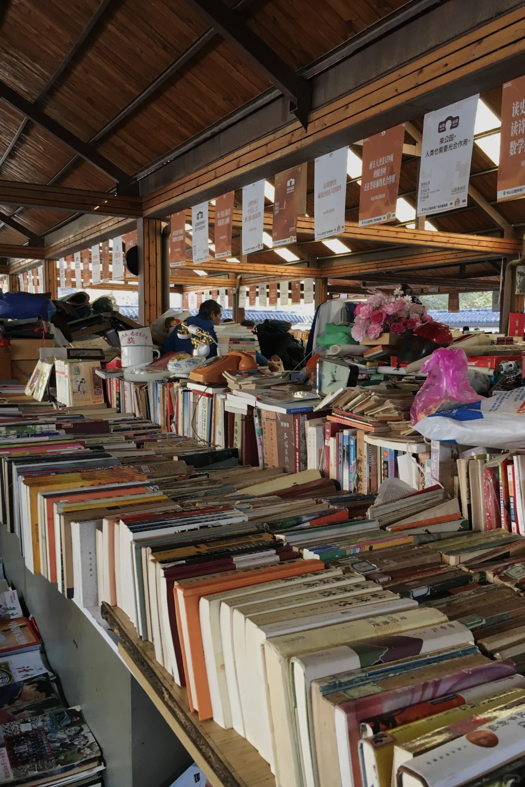 济南|在经三路看今年最后的秋（下）