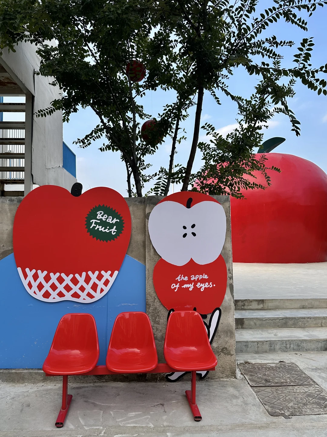 11月在烟台看海🫧🌊