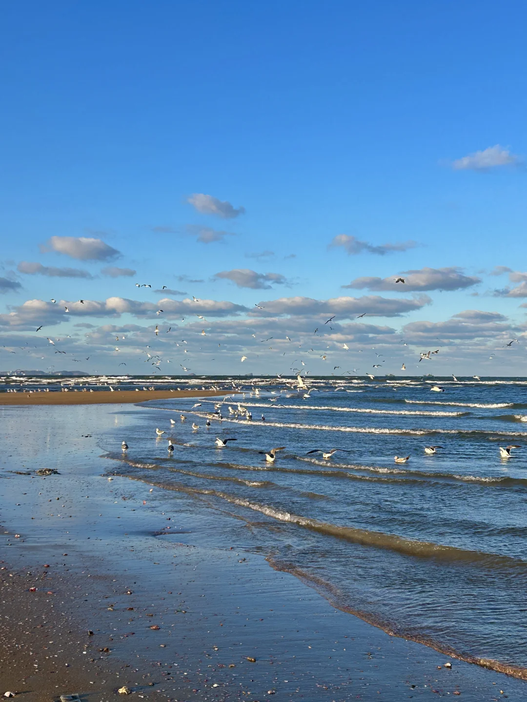 11.25日烟台！我愿称之为海边的童话世界！！
