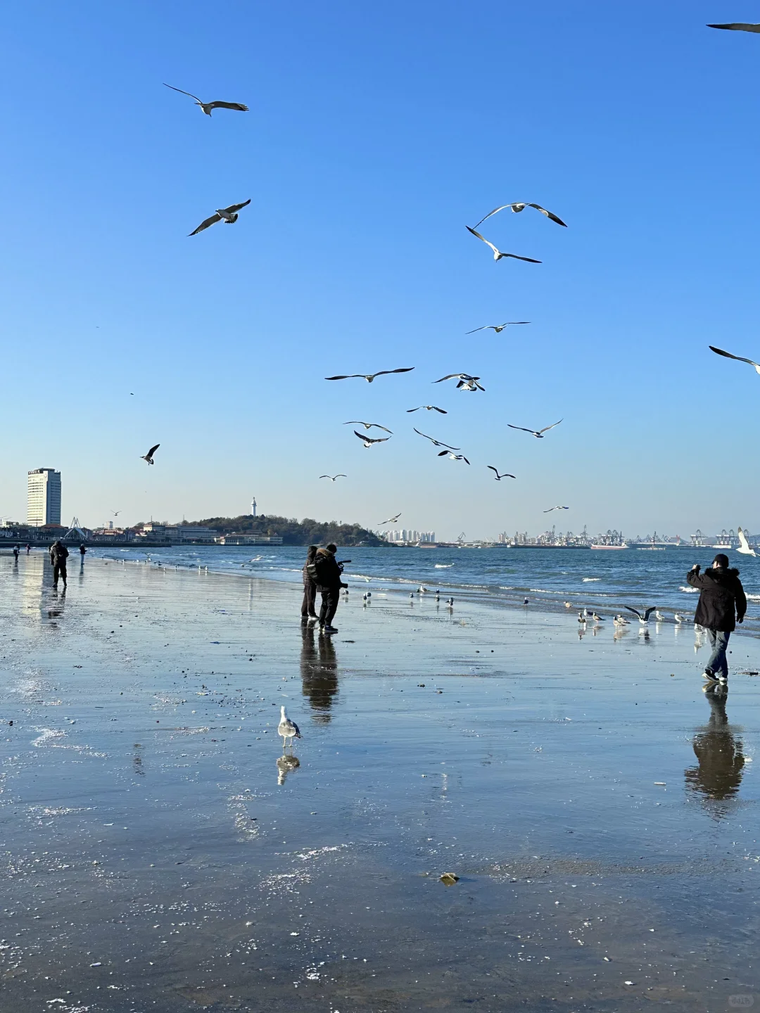 11月在烟台看海🫧🌊