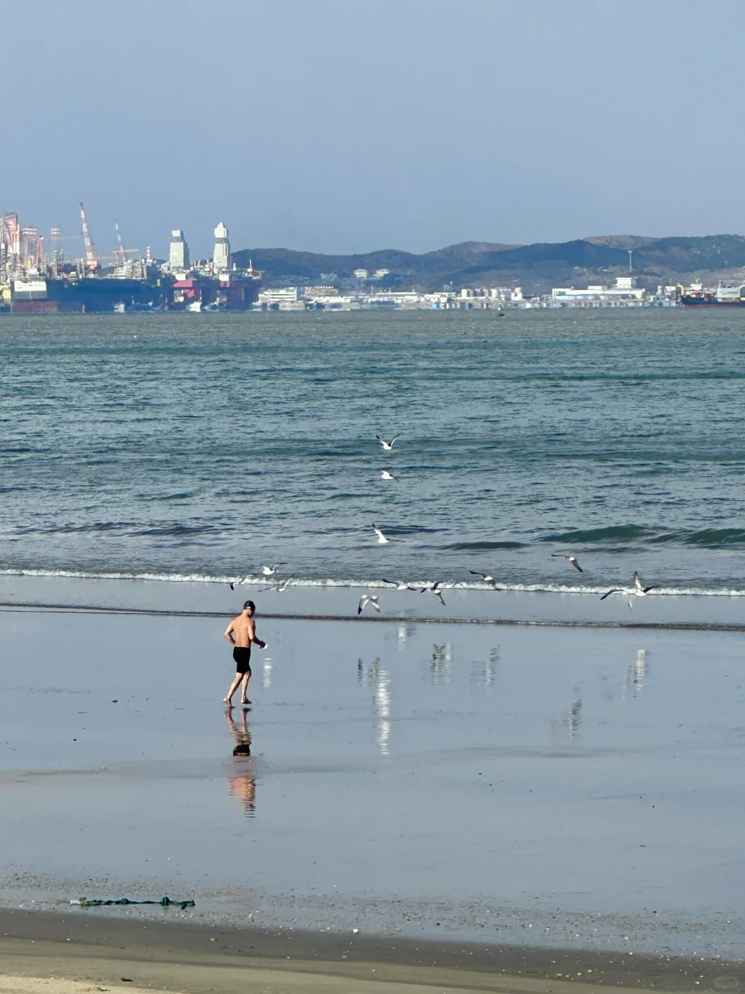“这里是11月的烟台”🫧🌊🐚☁️