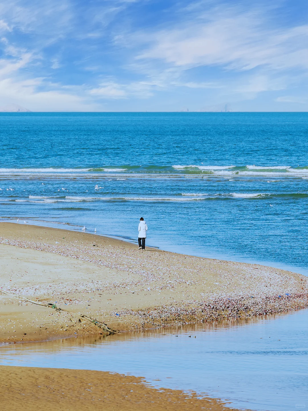 以为青岛已经够美了，直到我去了烟台……