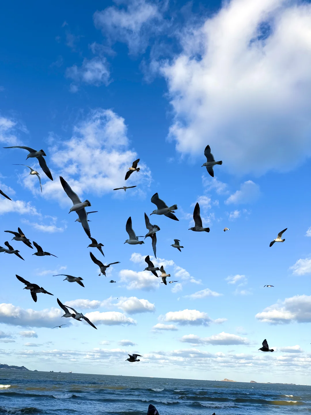 冬天的烟台简直封神了！！