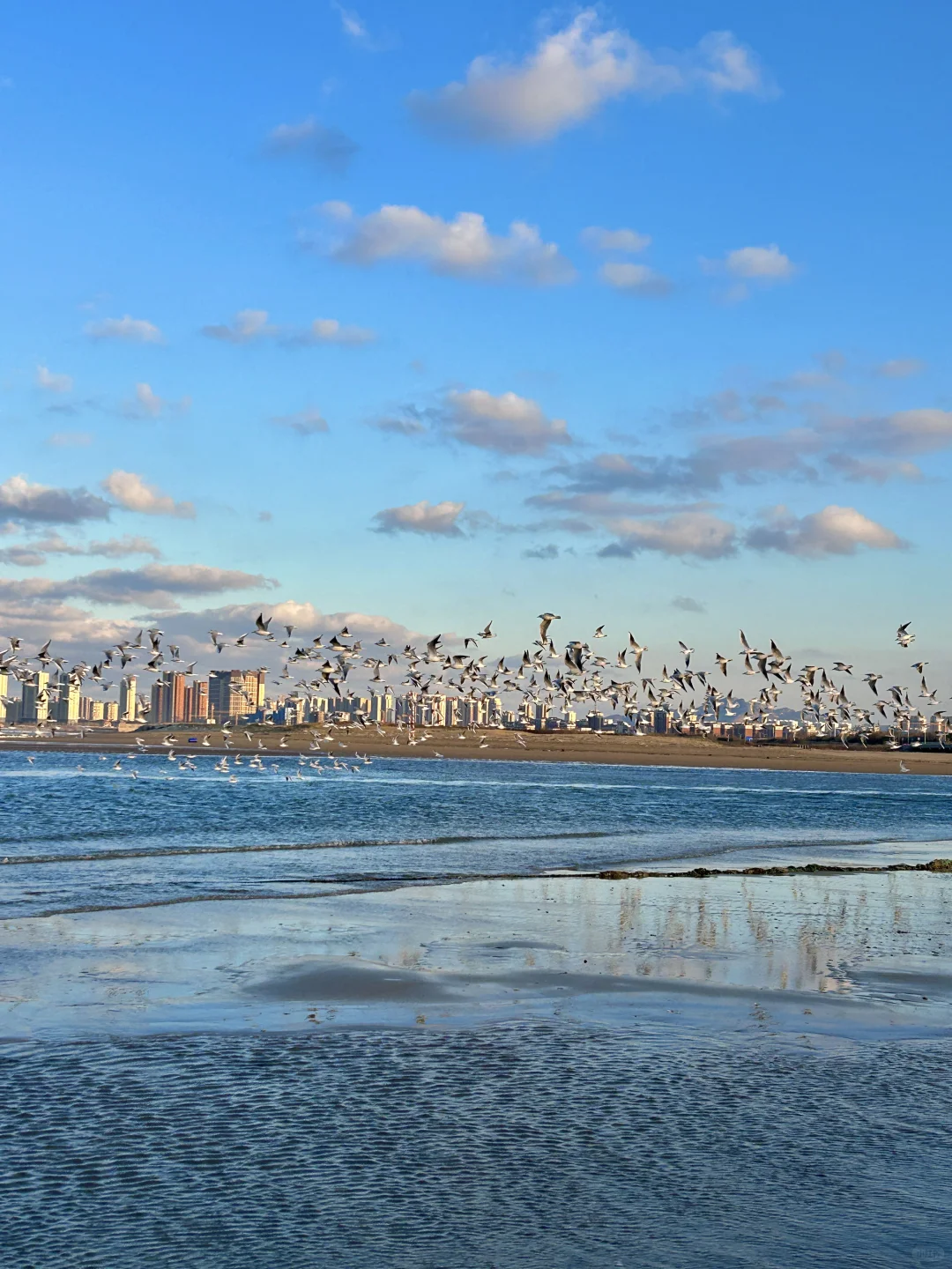 11.25日烟台！我愿称之为海边的童话世界！！