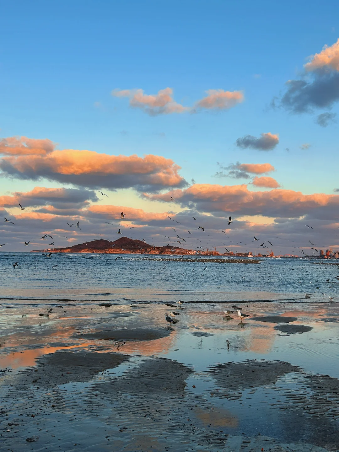 11.25日烟台！我愿称之为海边的童话世界！！