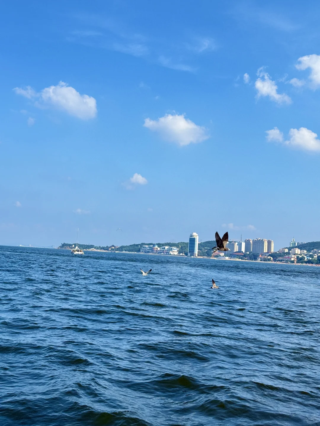 冬天的烟台简直封神了！！